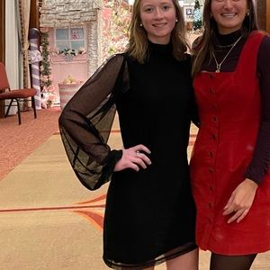 Sanctuary Mesh Swiss Dot Dress Black Size Small